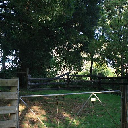 Strathmore Farm B&B Mirboo North Esterno foto