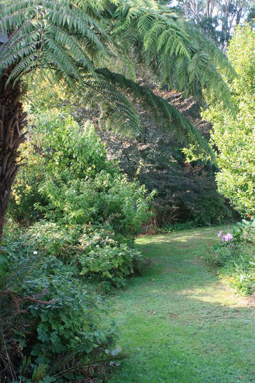 Strathmore Farm B&B Mirboo North Esterno foto