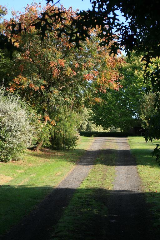 Strathmore Farm B&B Mirboo North Esterno foto