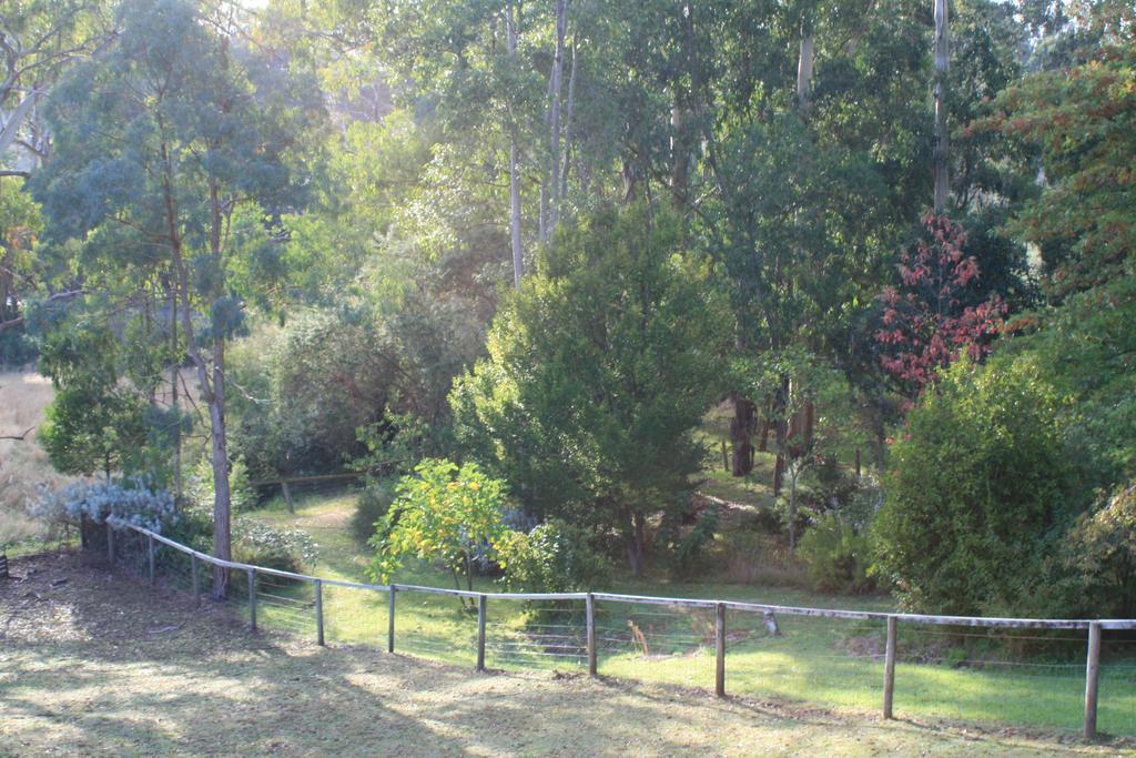 Strathmore Farm B&B Mirboo North Esterno foto