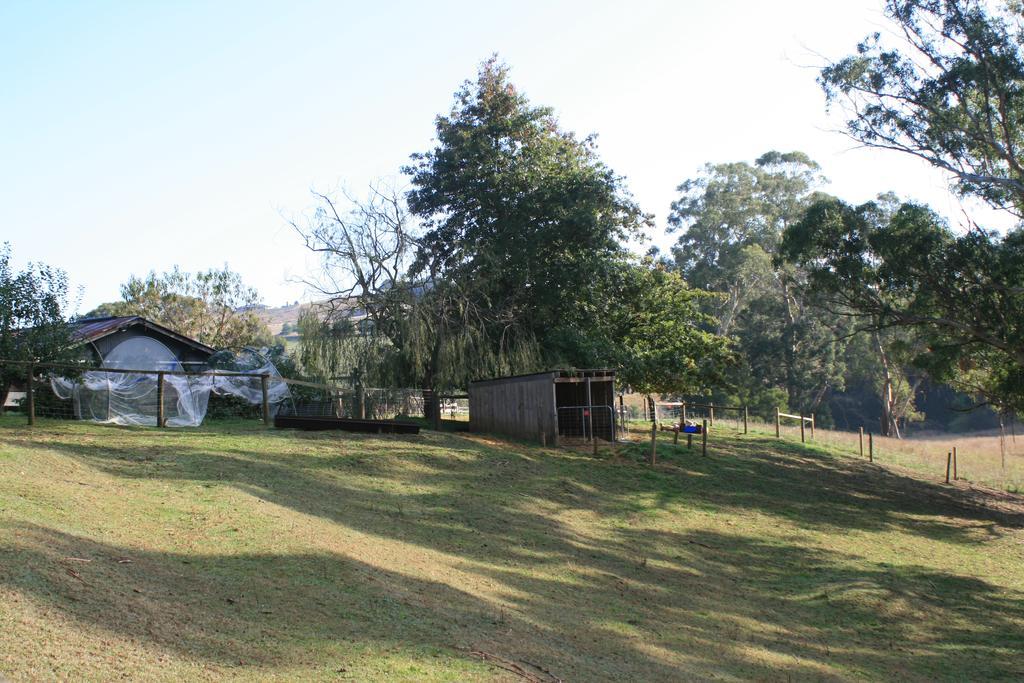 Strathmore Farm B&B Mirboo North Esterno foto