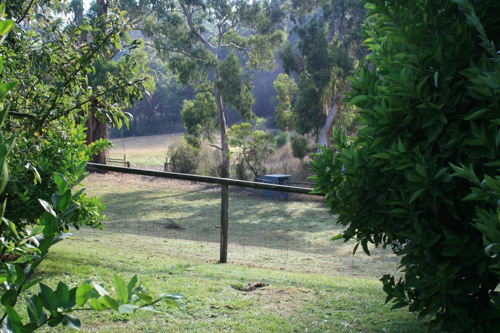Strathmore Farm B&B Mirboo North Esterno foto