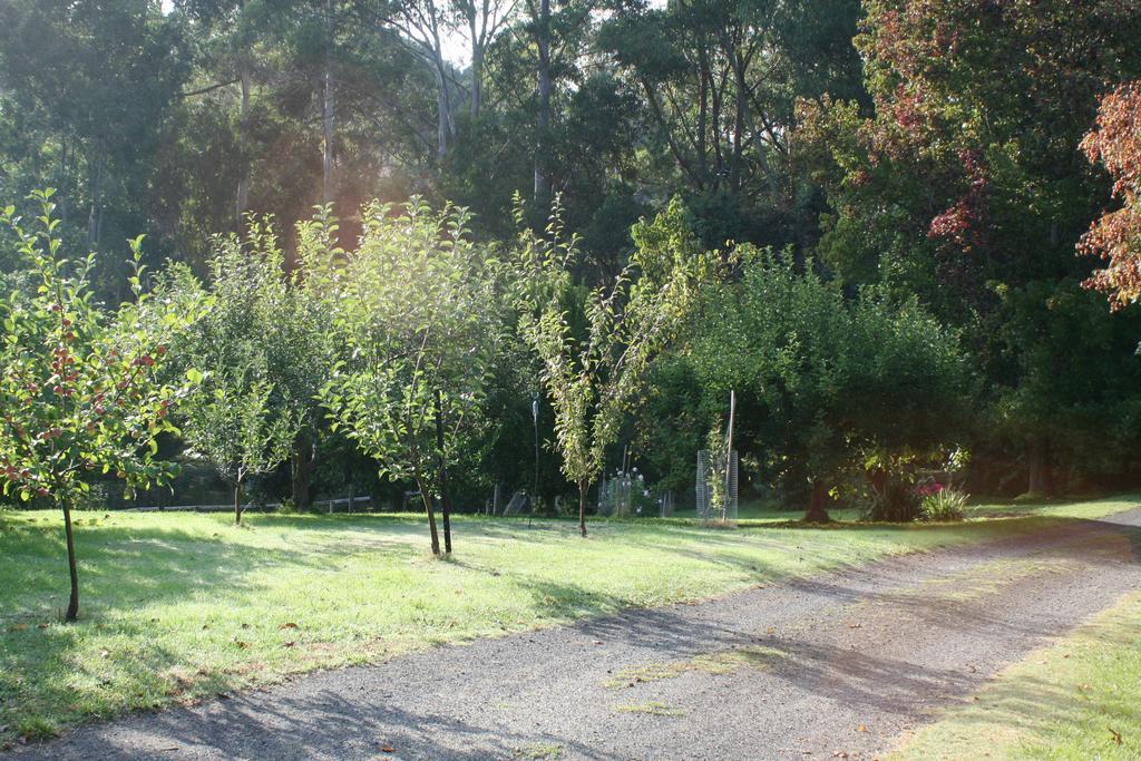Strathmore Farm B&B Mirboo North Esterno foto