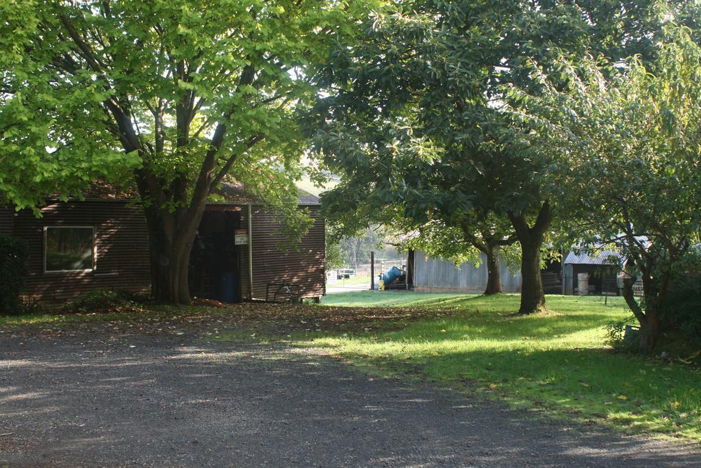 Strathmore Farm B&B Mirboo North Esterno foto